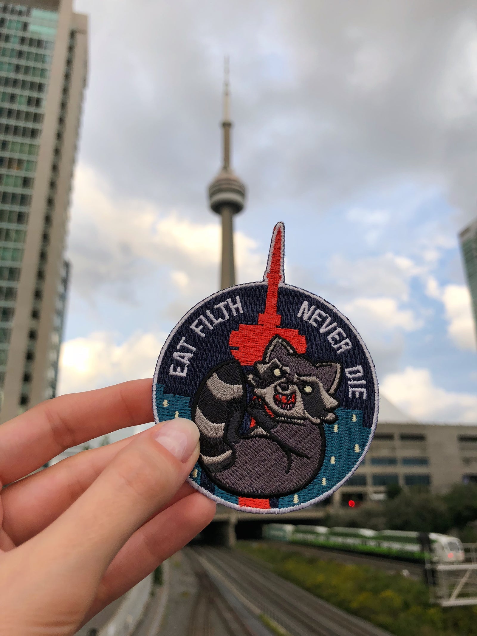 Trash Panda Iron-On Patch